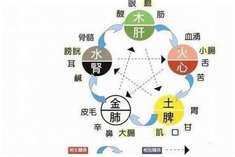 五行補水|【五行缺水如何補救】五行缺水怎麼補救？五大絕招助你補好水行。